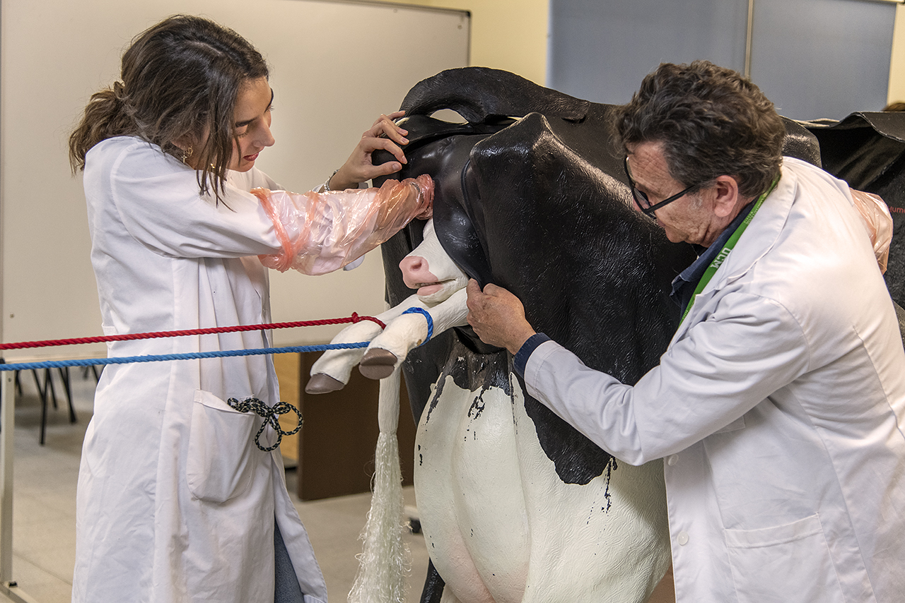 Veterinaria incorpora simuladores de última generación en la formación práctica de sus estudiantes