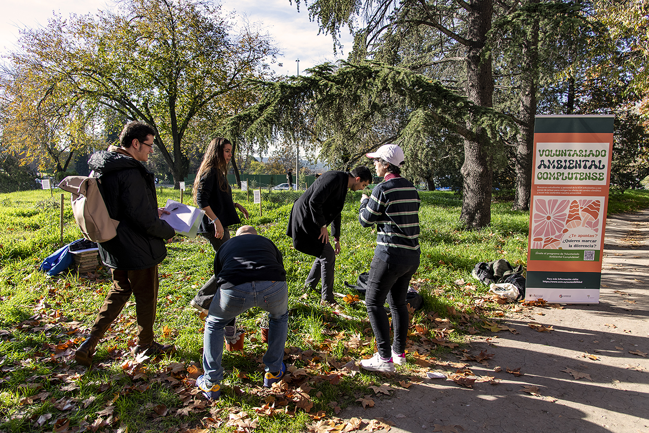 Corredores Verdes Urbanos, la iniciativa que busca mejorar la conectividad entre los espacios verdes de la UCM