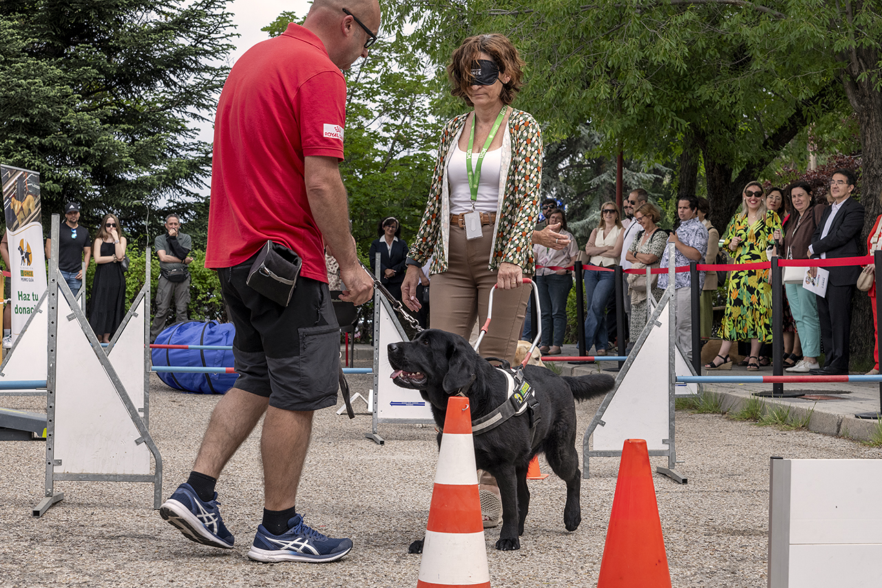 Veterinaria acoge una exhibición canina de la Fundación ONCE del perro guía