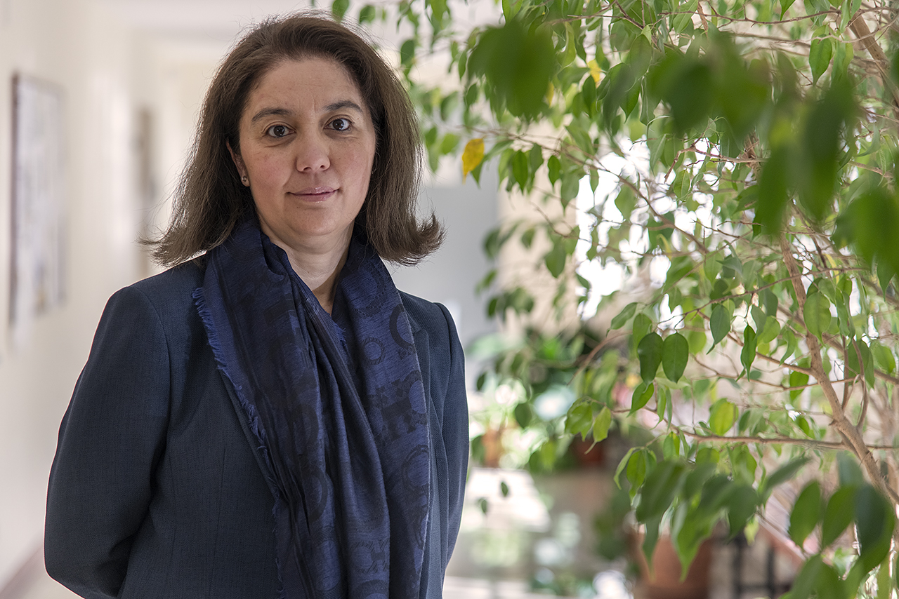 La catedrática Amparo Grau lidera, en el Subcomité de Tributación Ambiental de la ONU, los trabajos sobre compensaciones de emisiones