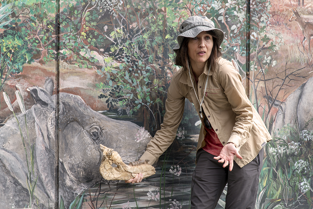 Laura Domingo explica que el dibujo del rinoceronte realizado en el mural está hecho a tamaño natural