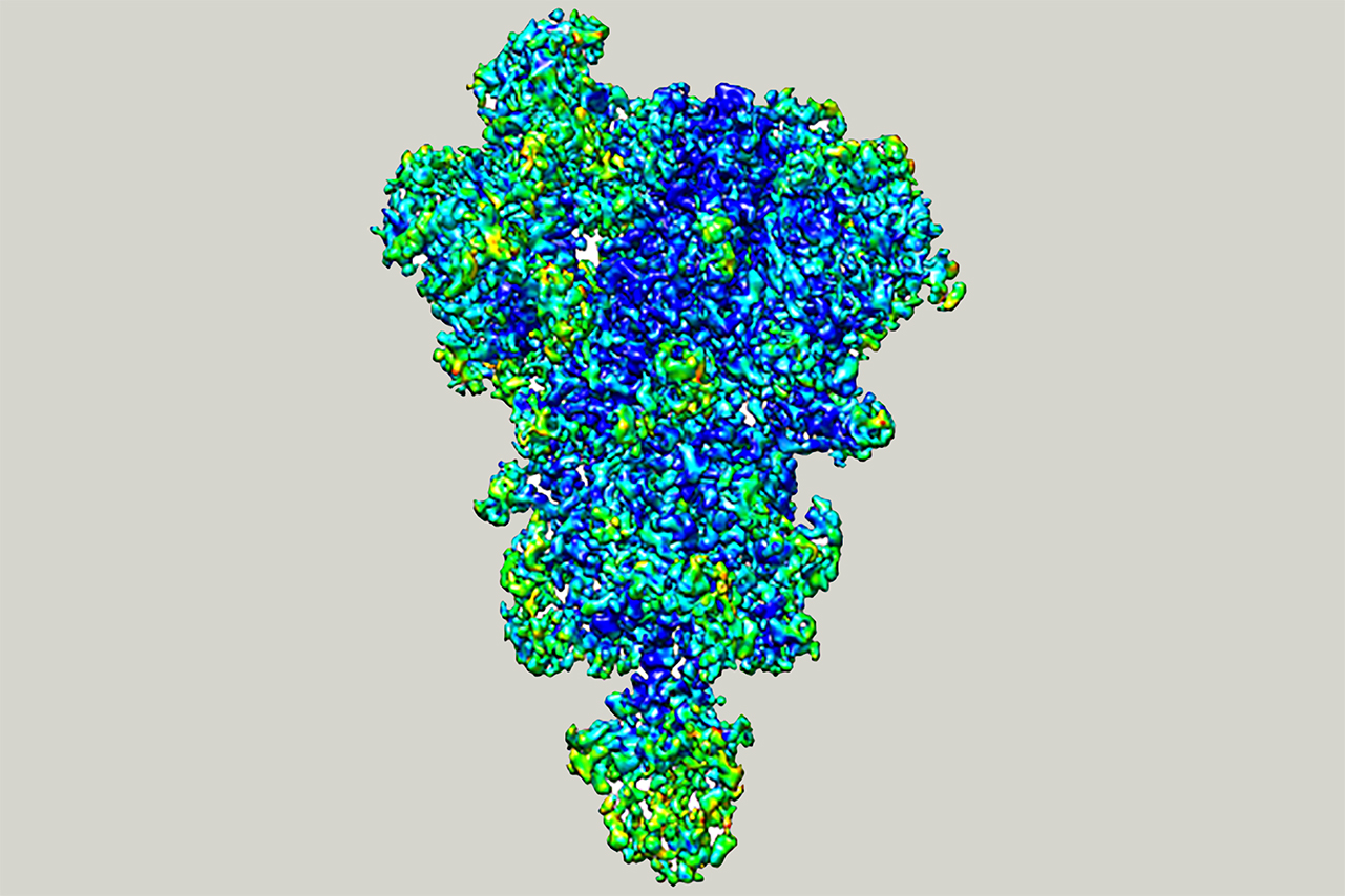 Nuevos métodos de procesamiento de imagen probados en una proteína del SARS-CoV-2 mejoran las reconstrucciones 3D de macromoléculas