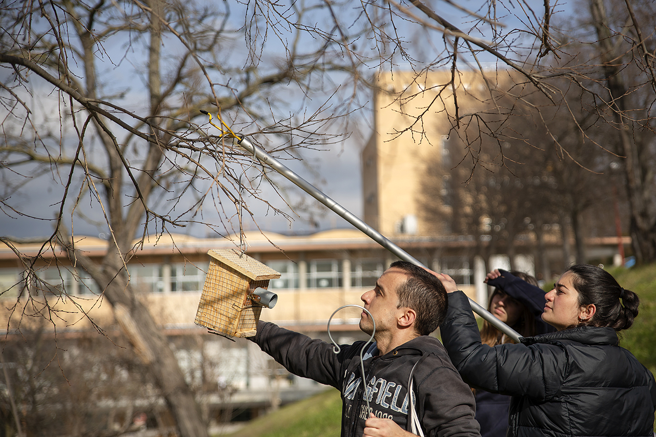 Estudiantes colocando cajas nido. Fotografía: Alberto Álvarez