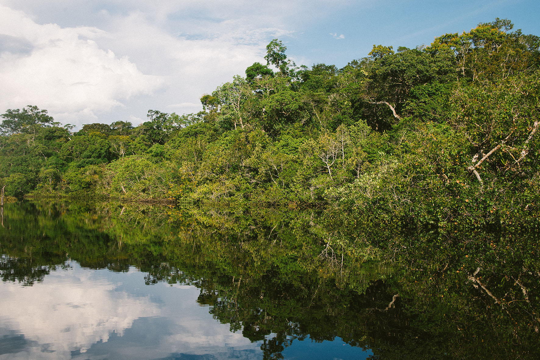 La deforestación en la Amazonía es cada vez más evidente / Natalia Segato